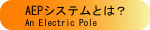 AEPシステムとは?