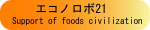 エコノロボ21